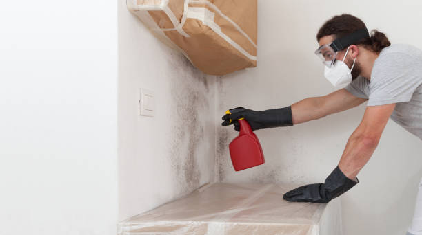 Professional Bathroom Mold Removal technician working in Dorr, MI